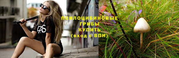 дурь Армянск